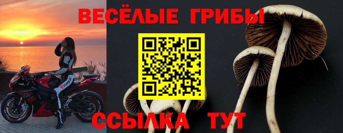 Псилоцибиновые грибы Psilocybine cubensis  Галлюциногенные грибы Psilocybe  Вход с VPN  Славянск-на-Кубани 
